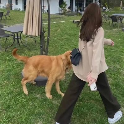 马场三怪