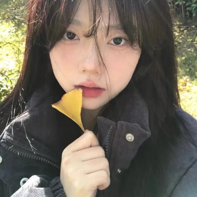 少爷仔