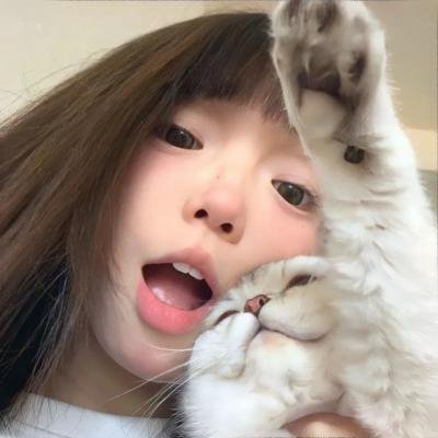 波丽士很忙